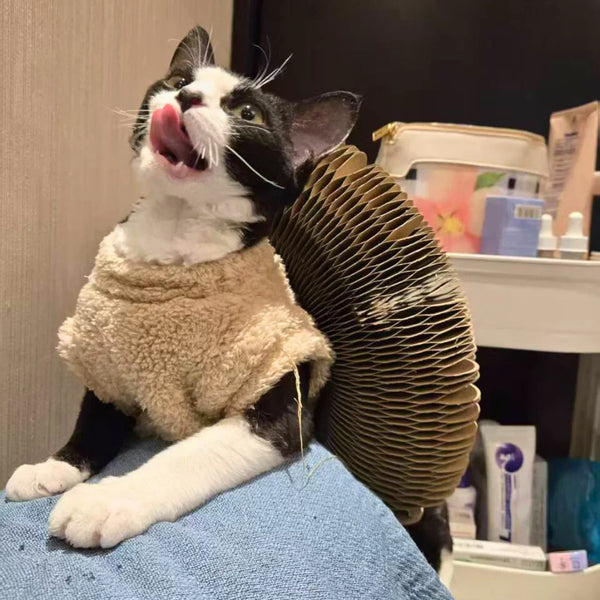 Orgelbrett Katzenspielzeug