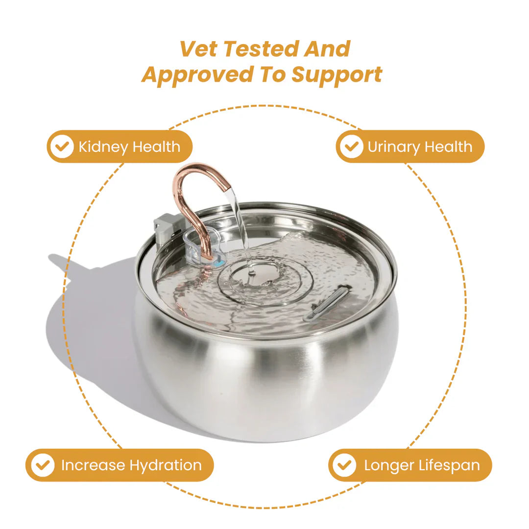 Gezondheid & Geluk Kattenfontein