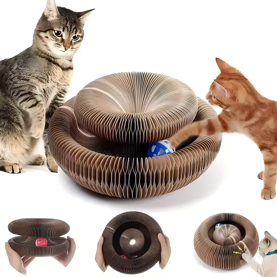Organ Board Cat Toy